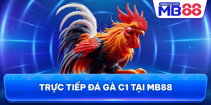 Trực tiếp đá gà C1 tại MB88
